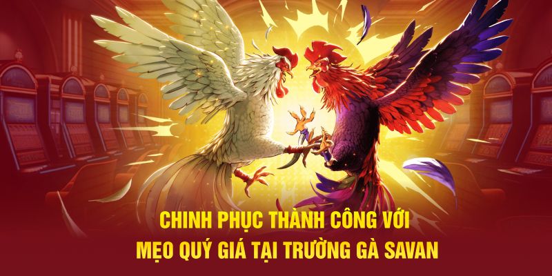 Chinh phục thành công với mẹo quý giá tại trường gà Savan