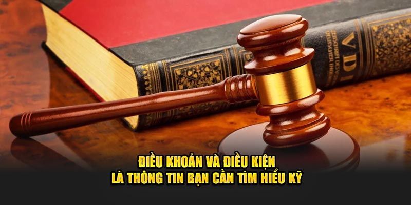 Điều khoản và điều kiện được xem là thông tin thành viên viên cần tìm hiểu kỹ