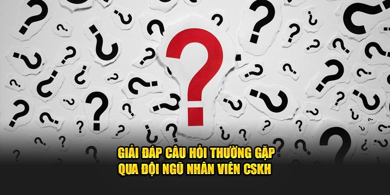 Giải đáp câu hỏi thường gặp qua đội ngũ nhân viên CSKH 