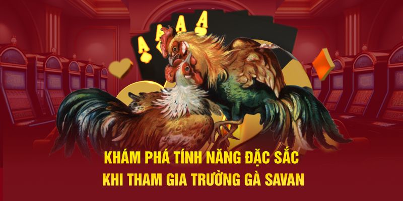 Khám phá tính năng đặc sắc khi tham gia trường gà Savan