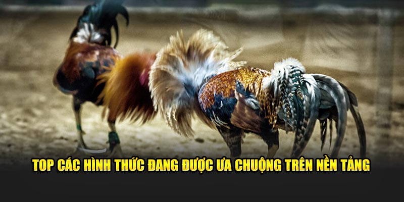 Top các hình thức đang được ưa chuộng trên nền tảng