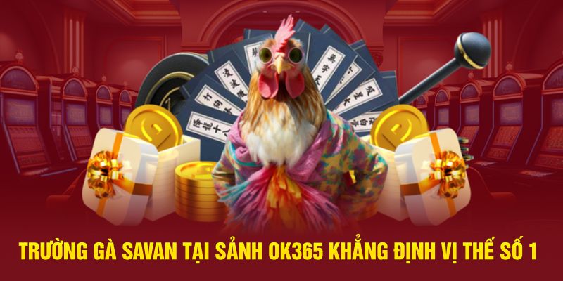 Trường Gà Savan Tại Sảnh OK365 Khẳng Định Vị Thế Số 1